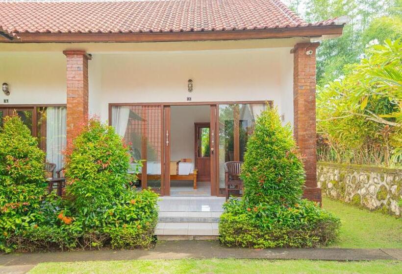 پانسیون Dream Breeze Village