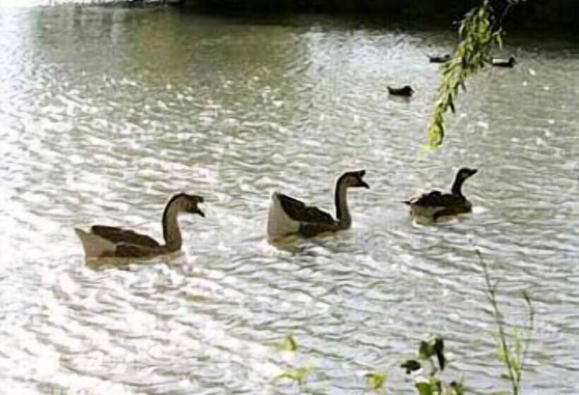 Отель Domaine De Mejeans   Teritoria