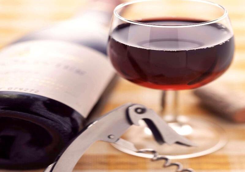 Ibis Hotel Friedrichshafen Airport Messe