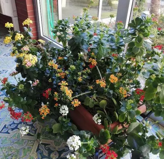 Residence Villa Alba Room Nr 415