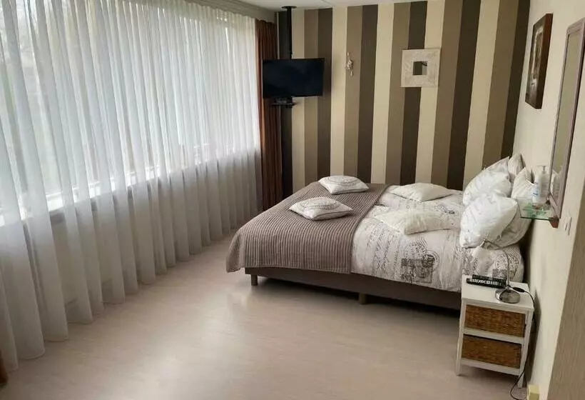 تختخواب و صبحانه De Spiegel