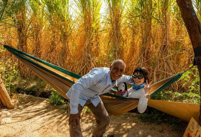 تختخواب و صبحانه Modos Place