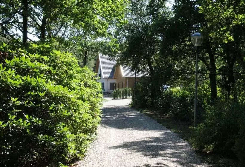 تختخواب و صبحانه Inn The Woods   Private Stay