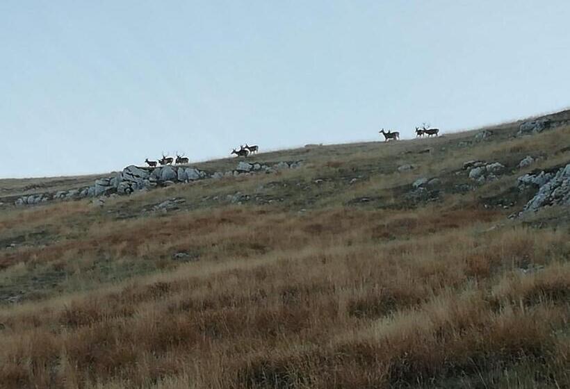 ベッドアンドブレックファースト Ponte Rio