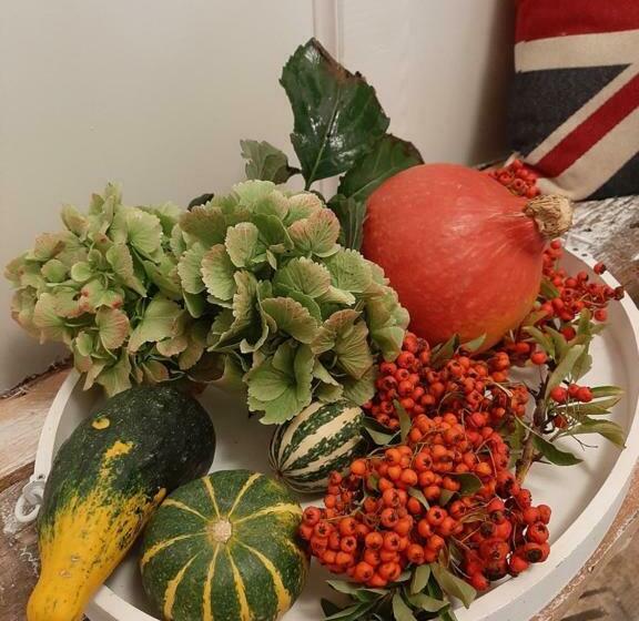 تختخواب و صبحانه Saarlouis, Ortsteil Beaumarais Anna S Cottagebed&breakfast #travellerawards 2022