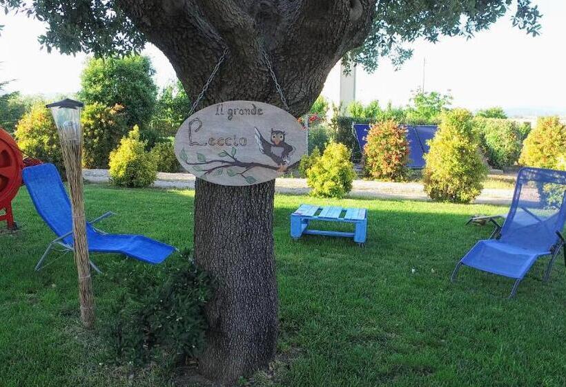 בית מלון כפרי Agriturismo Il Cuscino Nel Pagliaio