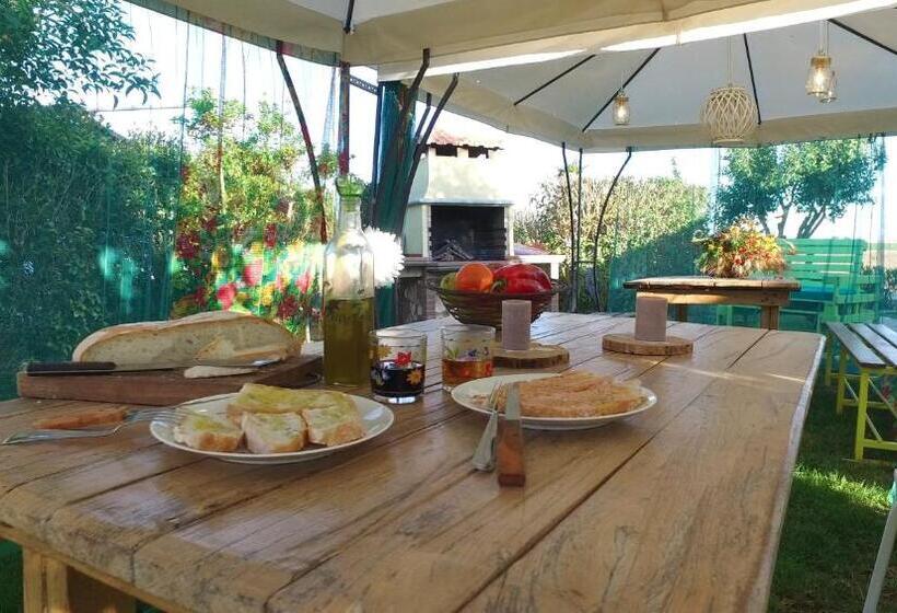 בית מלון כפרי Agriturismo Il Cuscino Nel Pagliaio