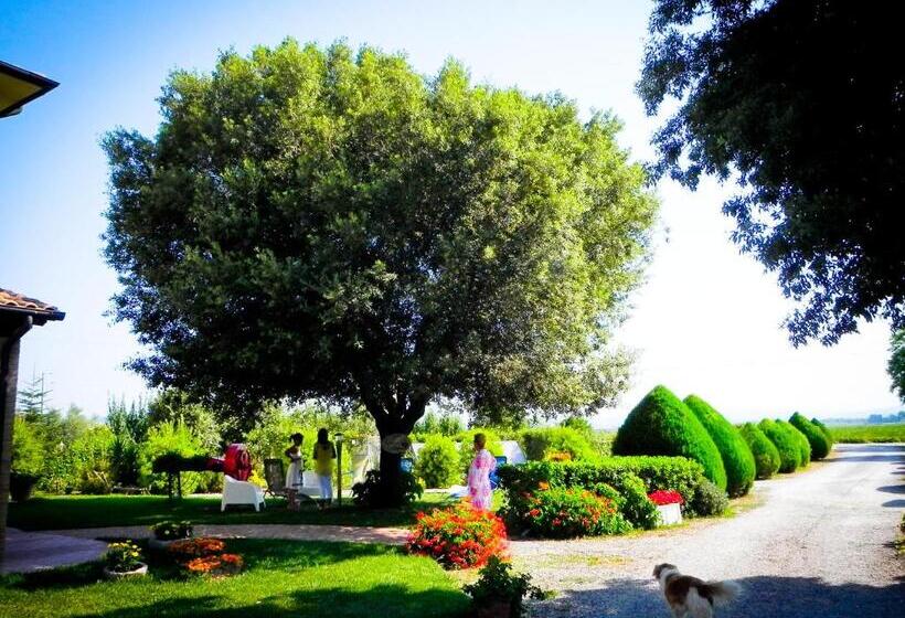 בית מלון כפרי Agriturismo Il Cuscino Nel Pagliaio