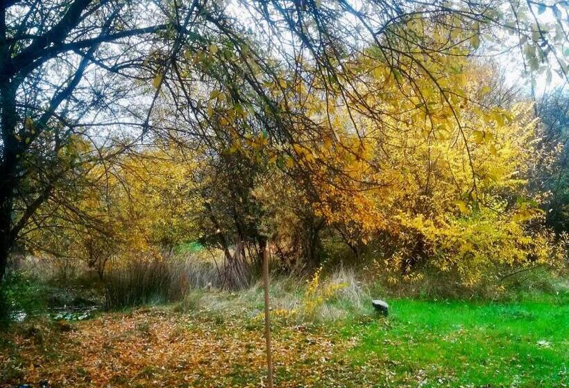 酒店 La Cabaña De Gaia