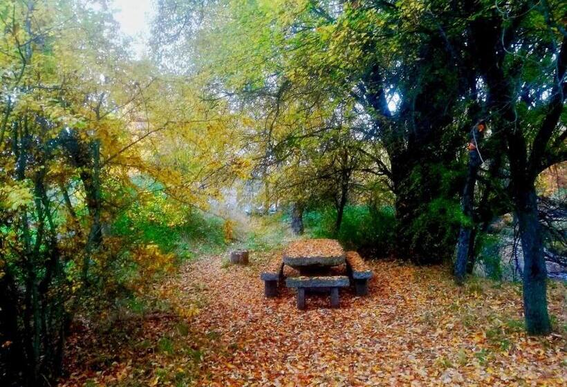 酒店 La Cabaña De Gaia