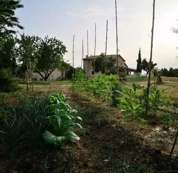 پانسیون Casa Rural Restaurante Mas Del Rei