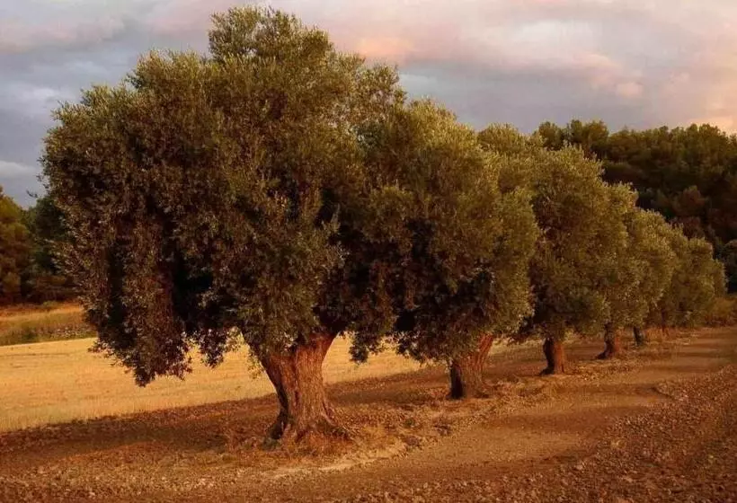 پانسیون Casa Rural Restaurante Mas Del Rei