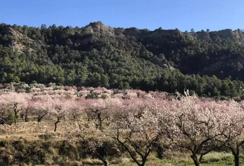 پانسیون Casa Rural Restaurante Mas Del Rei
