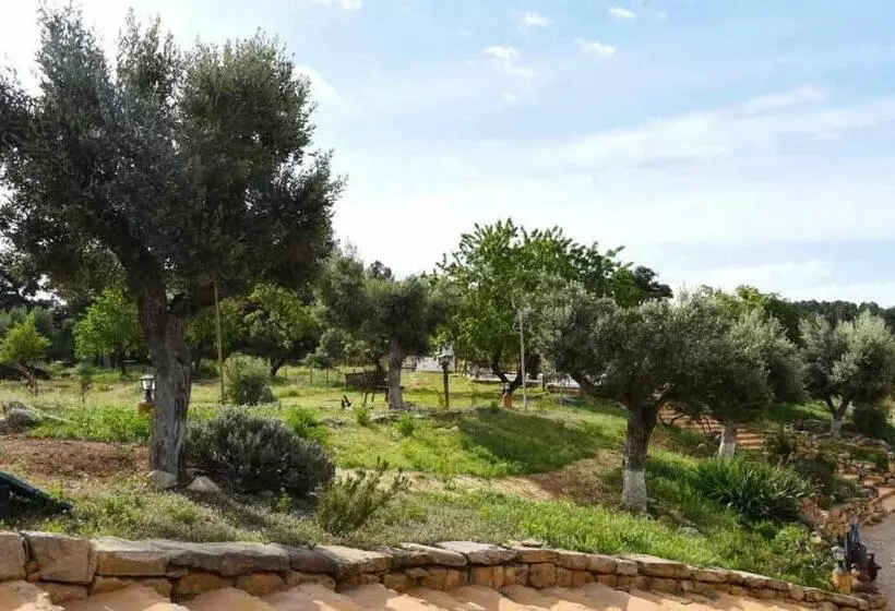پانسیون Casa Rural Restaurante Mas Del Rei