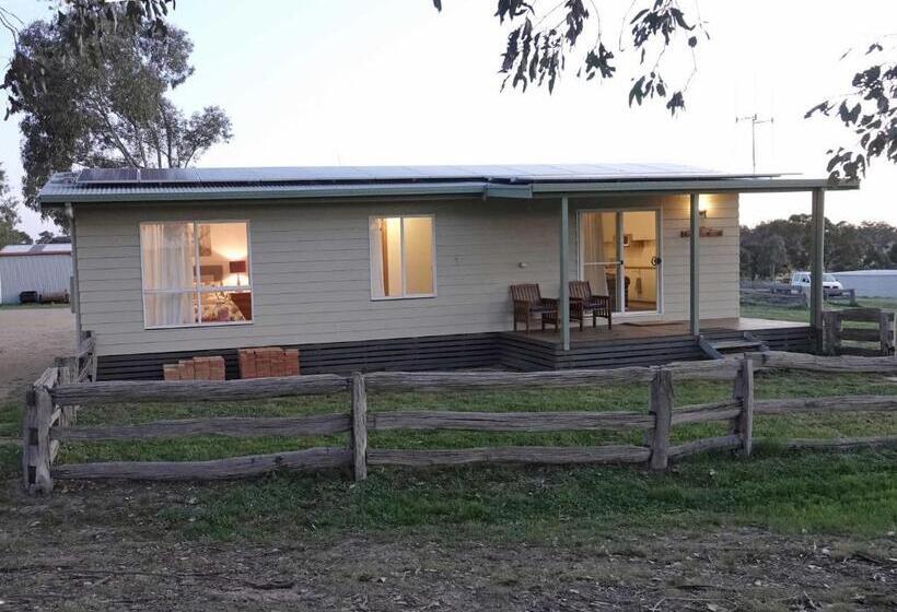 膳宿费 Glenview Alpaca Farm