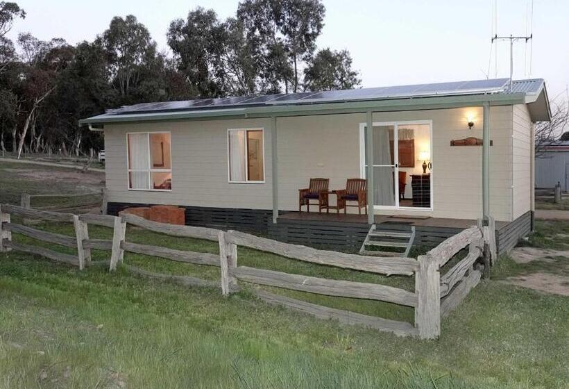 膳宿费 Glenview Alpaca Farm