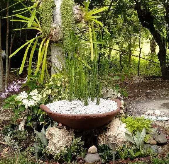 Retkeilymaja Banamboo