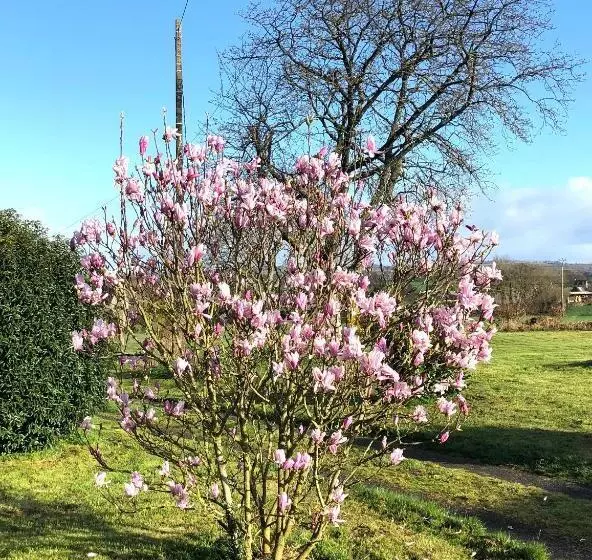 Bed and Breakfast La Blanche Roche
