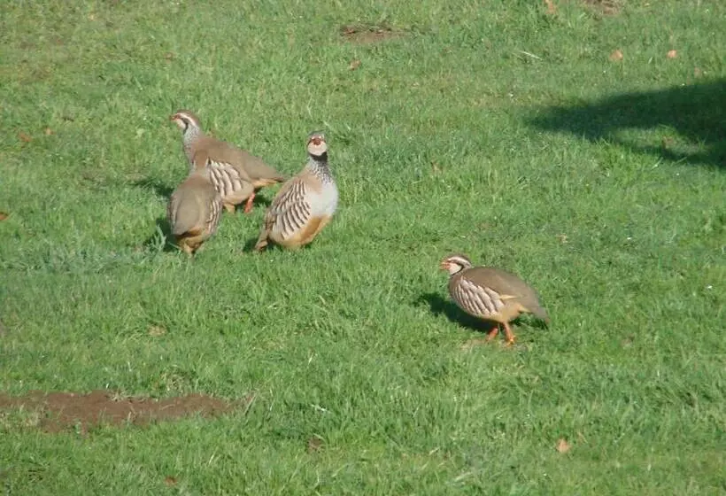 Bed and Breakfast La Blanche Roche