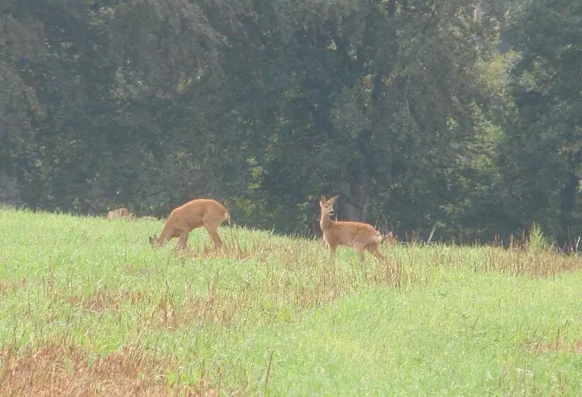 Bed and Breakfast La Blanche Roche