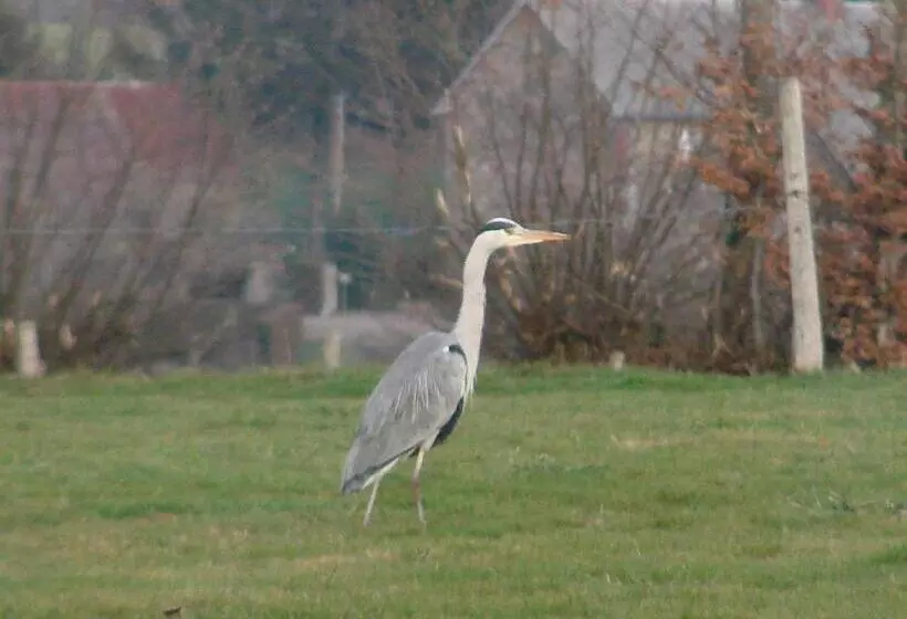 Bed and Breakfast La Blanche Roche