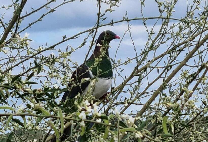 مبيت وإفطار Nadarra Hideaway