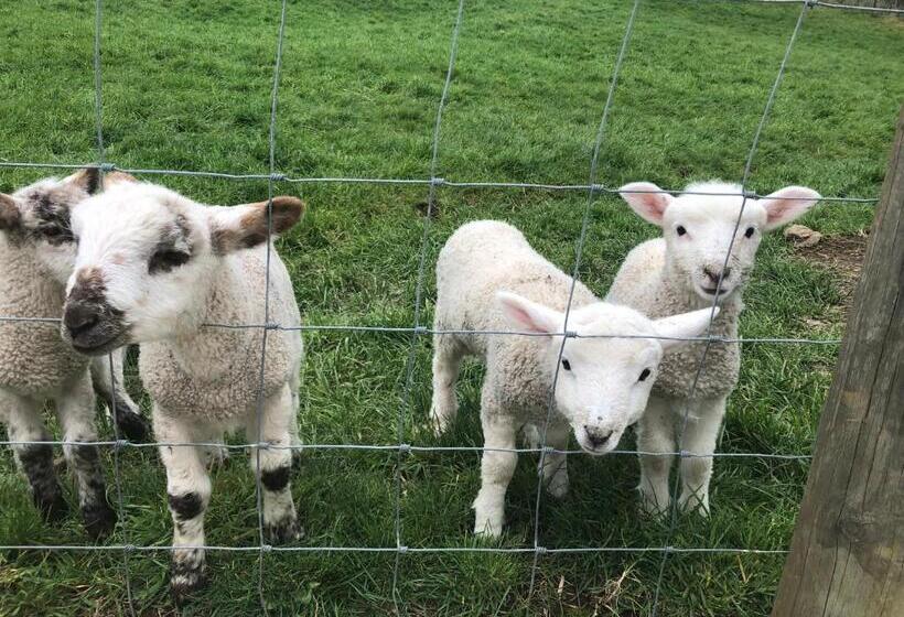 مبيت وإفطار Nadarra Hideaway