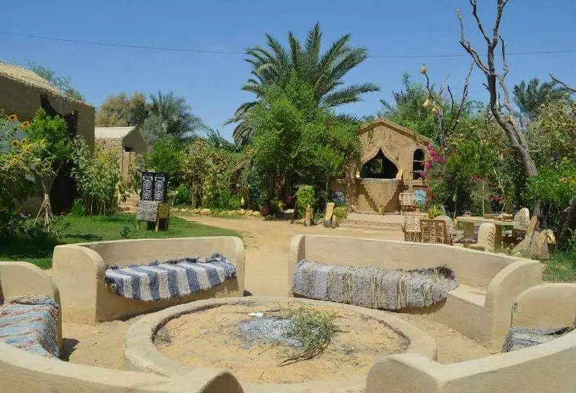 هتل Mountain Camp Ali Khaled