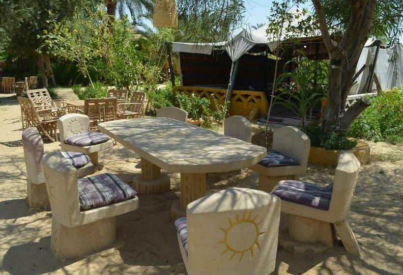 هتل Mountain Camp Ali Khaled