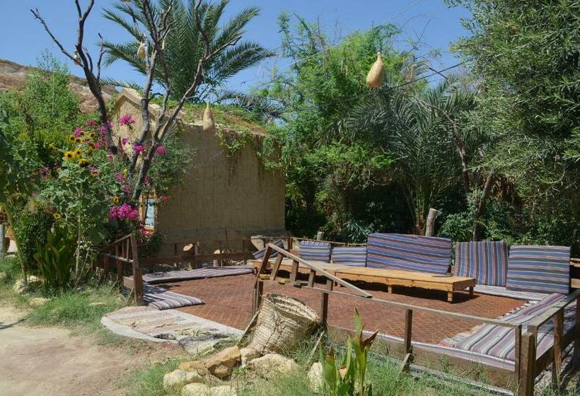 هتل Mountain Camp Ali Khaled