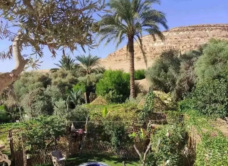 هتل Mountain Camp Ali Khaled
