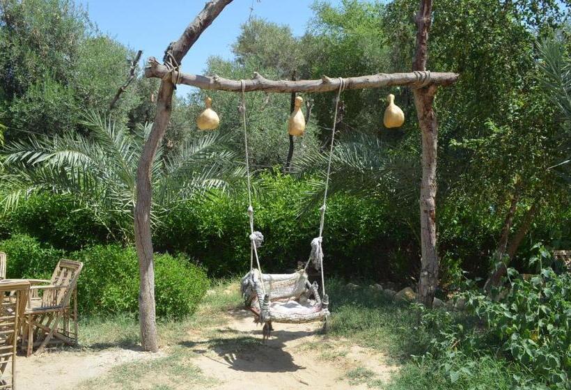 هتل Mountain Camp Ali Khaled