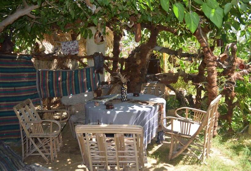 هتل Mountain Camp Ali Khaled