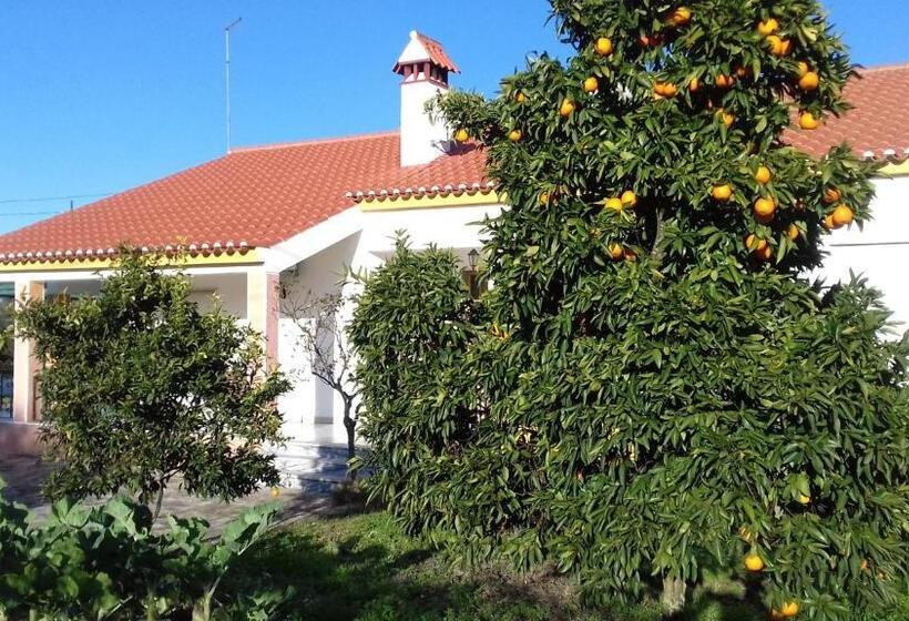 هتل Tapada Da Beirã