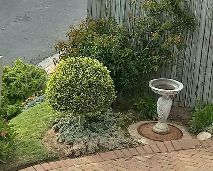 بنسيون Froggy Bay Is The Best All The Way!