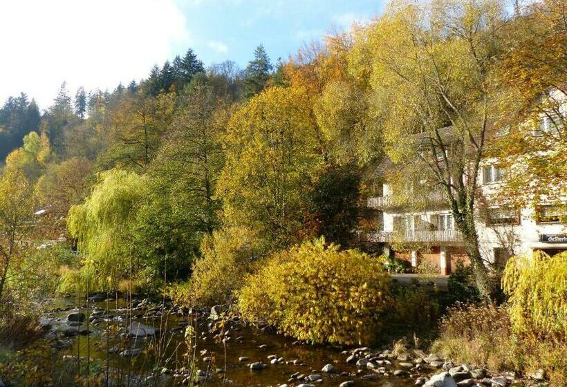Adieu Alltag: Pension Oesterle Im Schwarzwald