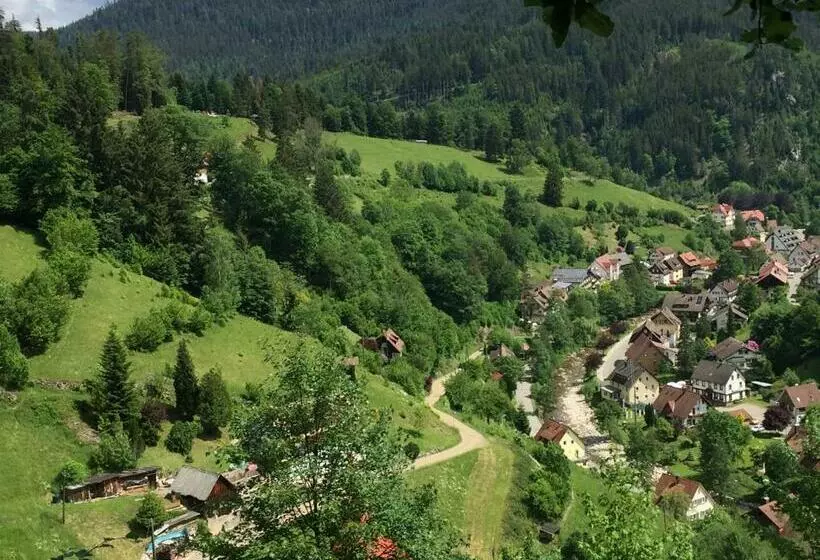 Adieu Alltag: Pension Oesterle Im Schwarzwald