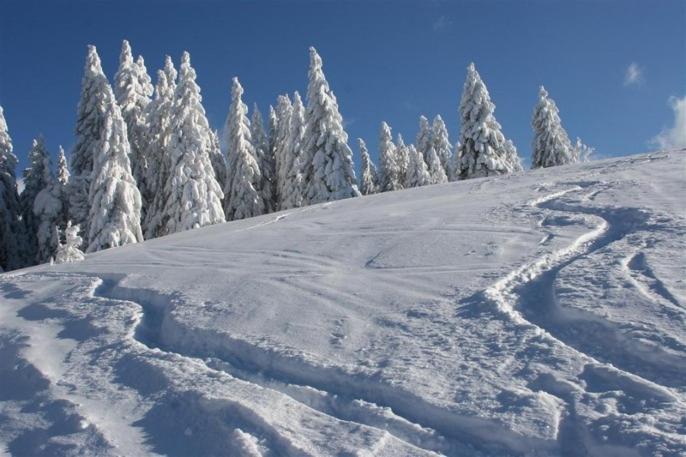 Adieu Alltag: Pension Oesterle Im Schwarzwald
