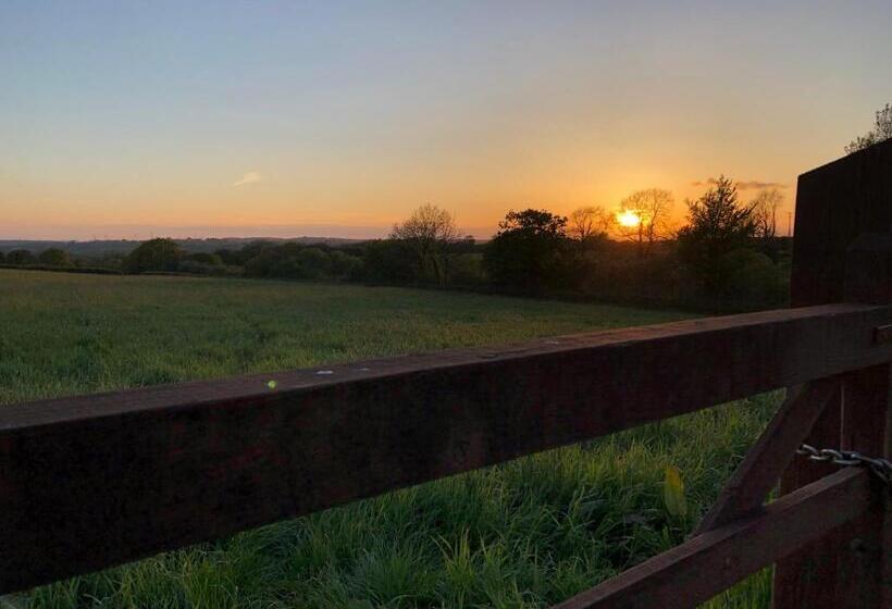 مبيت وإفطار Dan Y Graig Barn, Carmarthen