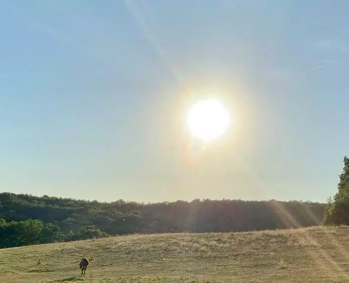 ベッドアンドブレックファースト La Meyssonnié