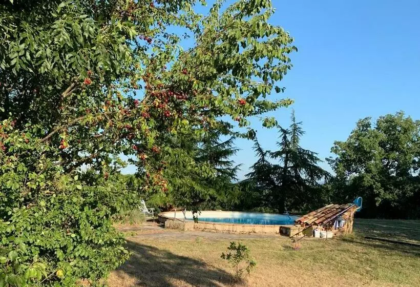 ベッドアンドブレックファースト La Meyssonnié