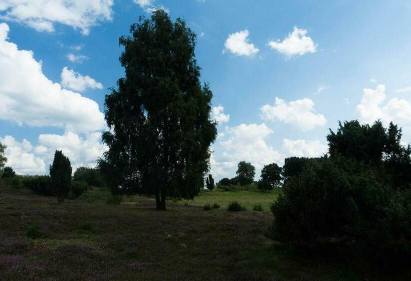 Bed and Breakfast Zum Hoambarg, Kitchen, Balcony, Bathroom