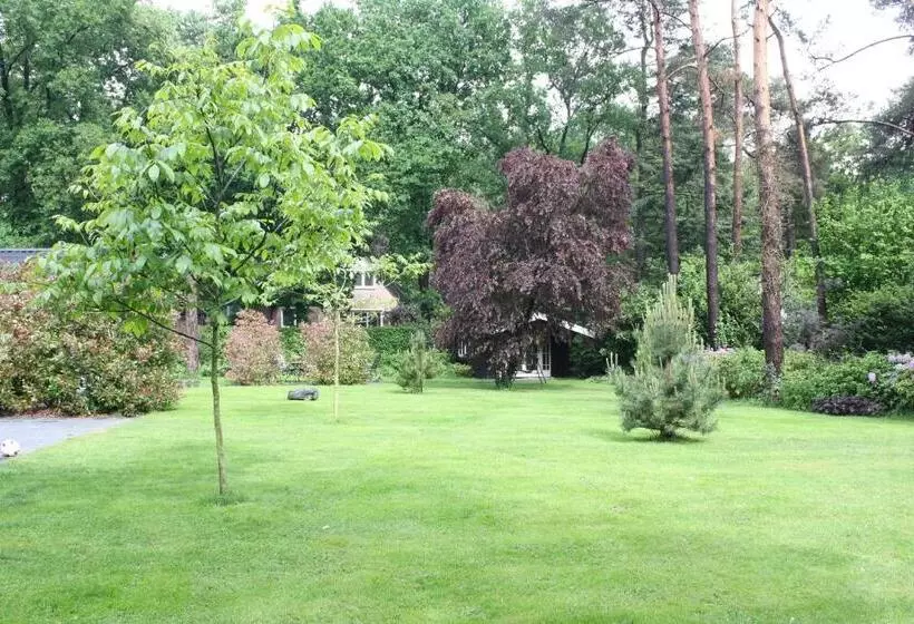 Bed & Breakfast Op  T Leven
