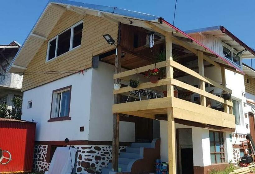 پانسیون Victoriei 35b