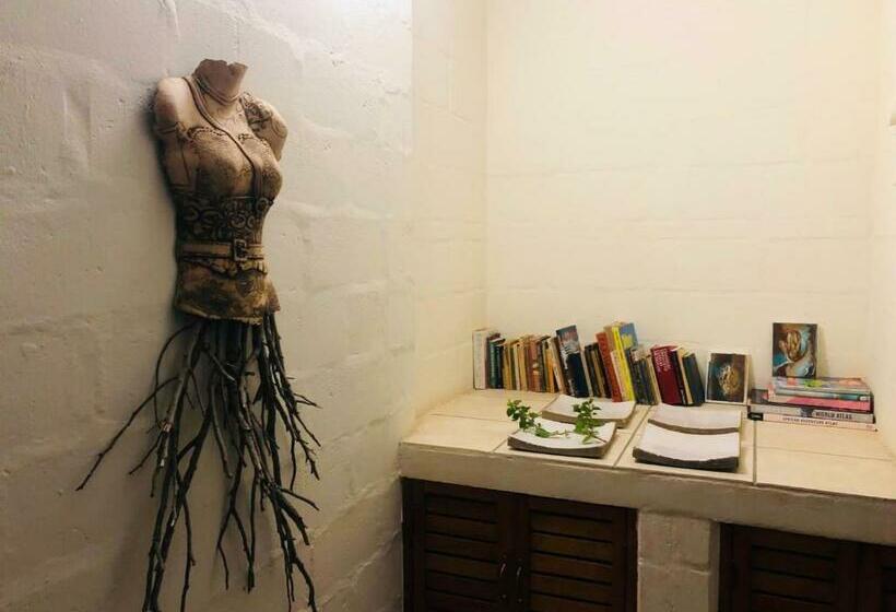 بنسيون Yellow House Prince Albert