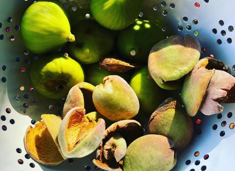 بنسيون Yellow House Prince Albert