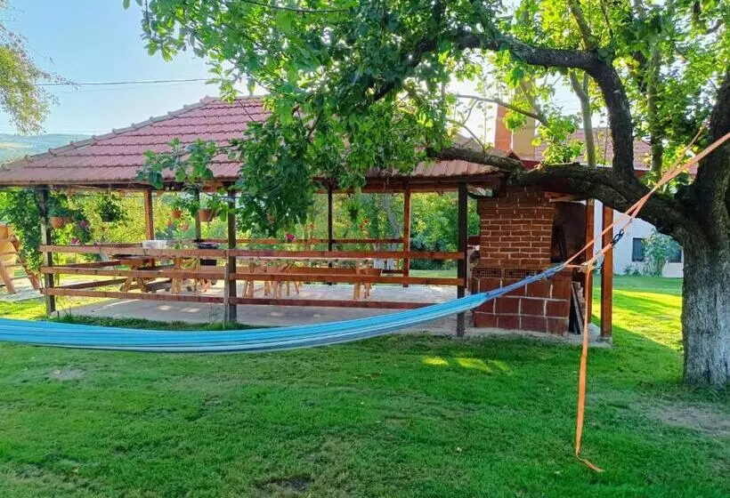 Pensiunea Agroturistica Ica