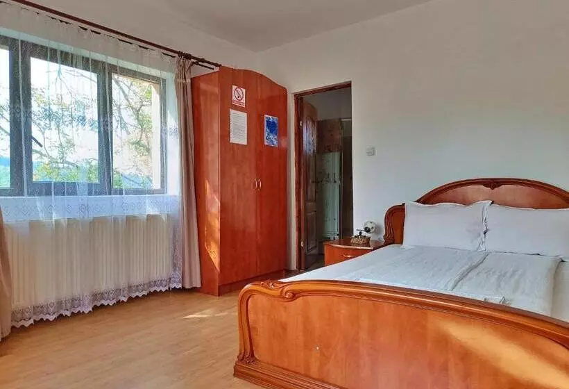 Pensiunea Agroturistica Ica