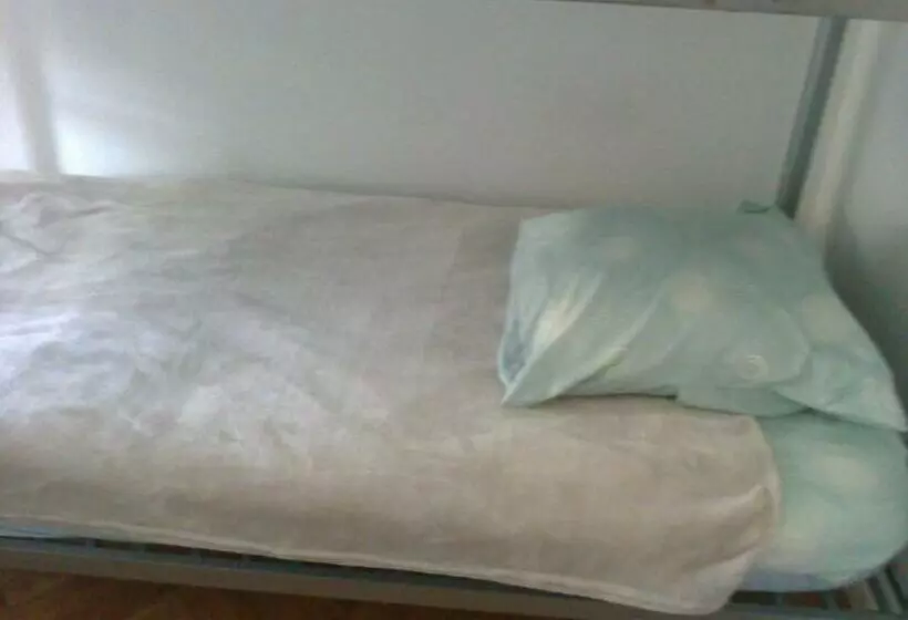 هاستل Vandoeuvre International Home