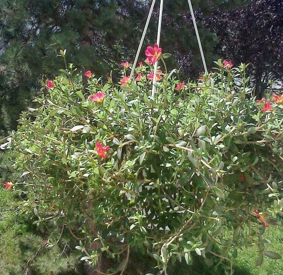 فندق صغير Vandoeuvre International Home